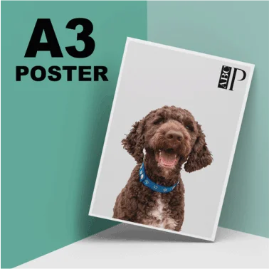 a3 poster print Design 2