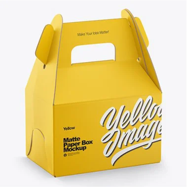 Disposable Box Design 3