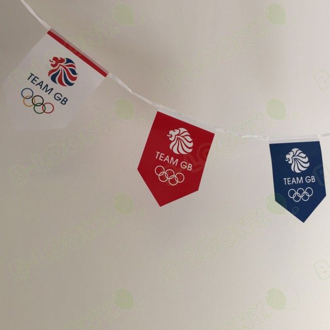 pvc Bunting Printing Flags Design 2