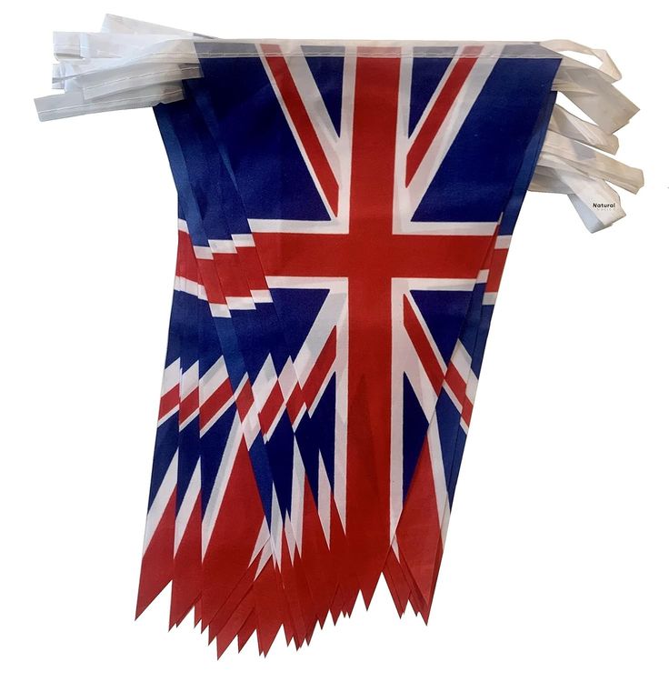 pvc Bunting Printing Flags Design 4